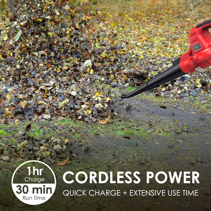 Cordless Leaf Blower, 20V Lightweight Electric Blower with Battery and Charger, Portable Handheld Power Leaf Blower with 2-Speed Control for Lawn Care